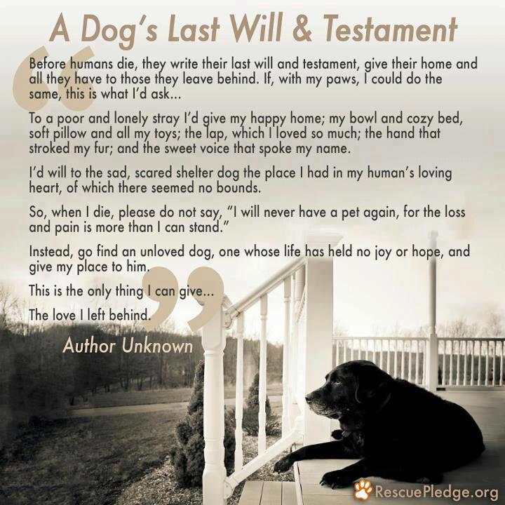 A dog's last will and testament